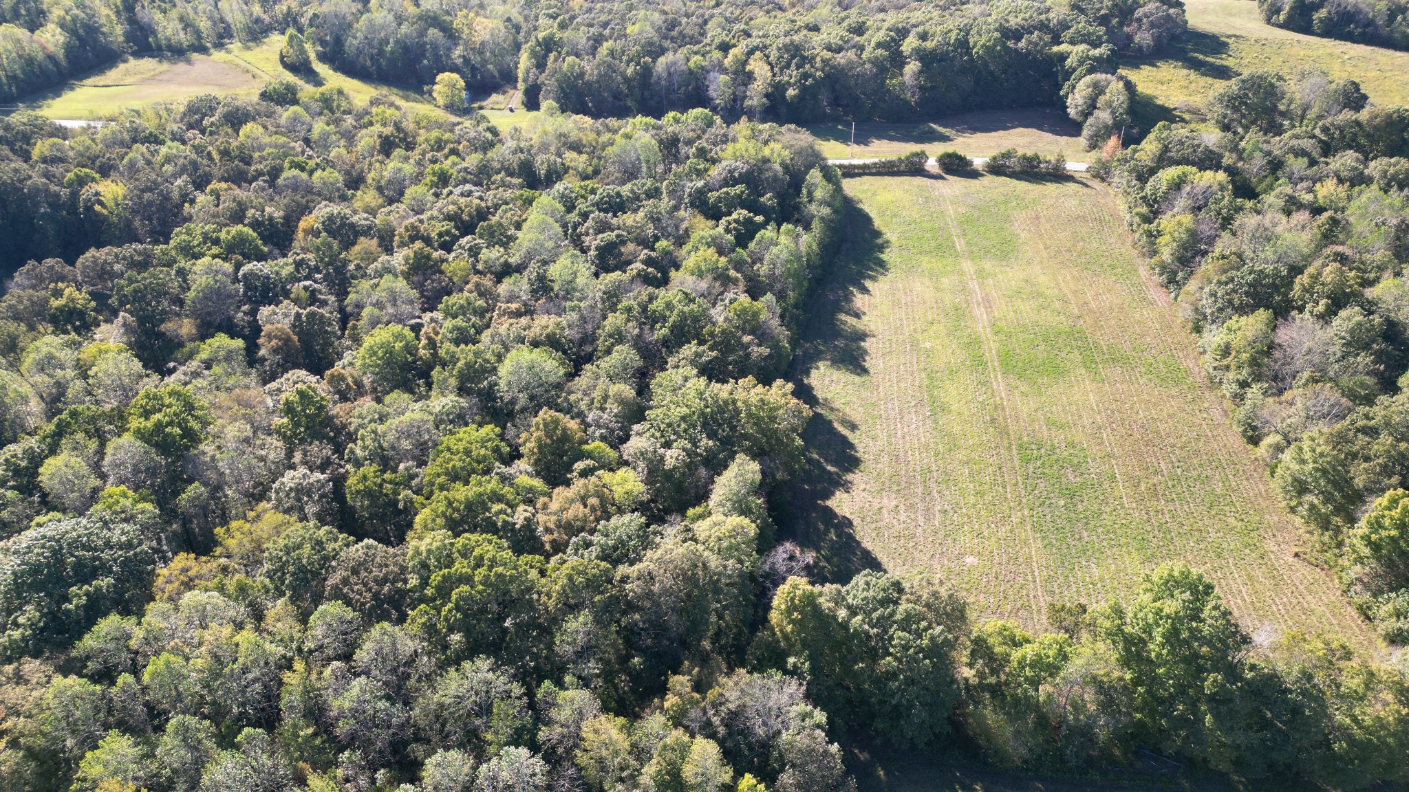 10 Hayes Ridge Road Indian Mound, TN 37079 - Photo 4 of 14 a aerial view of a house with a yard