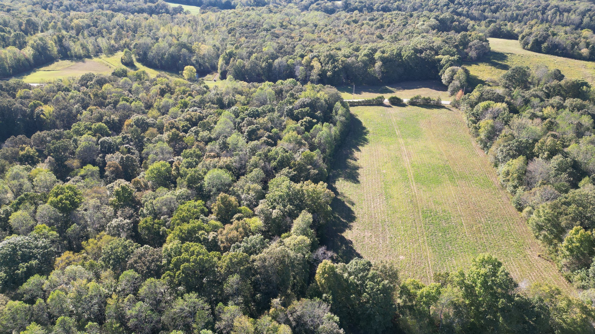 10 Hayes Ridge Road Indian Mound, TN 37079 - Photo 5 of 14 a view of lake