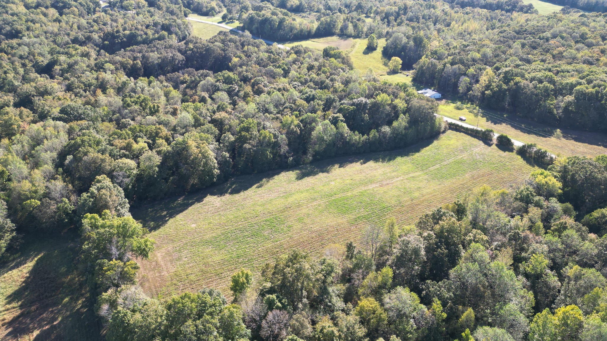 10 Hayes Ridge Road Indian Mound, TN 37079 - Photo 6 of 14 a view of a lake with a mountain in the background