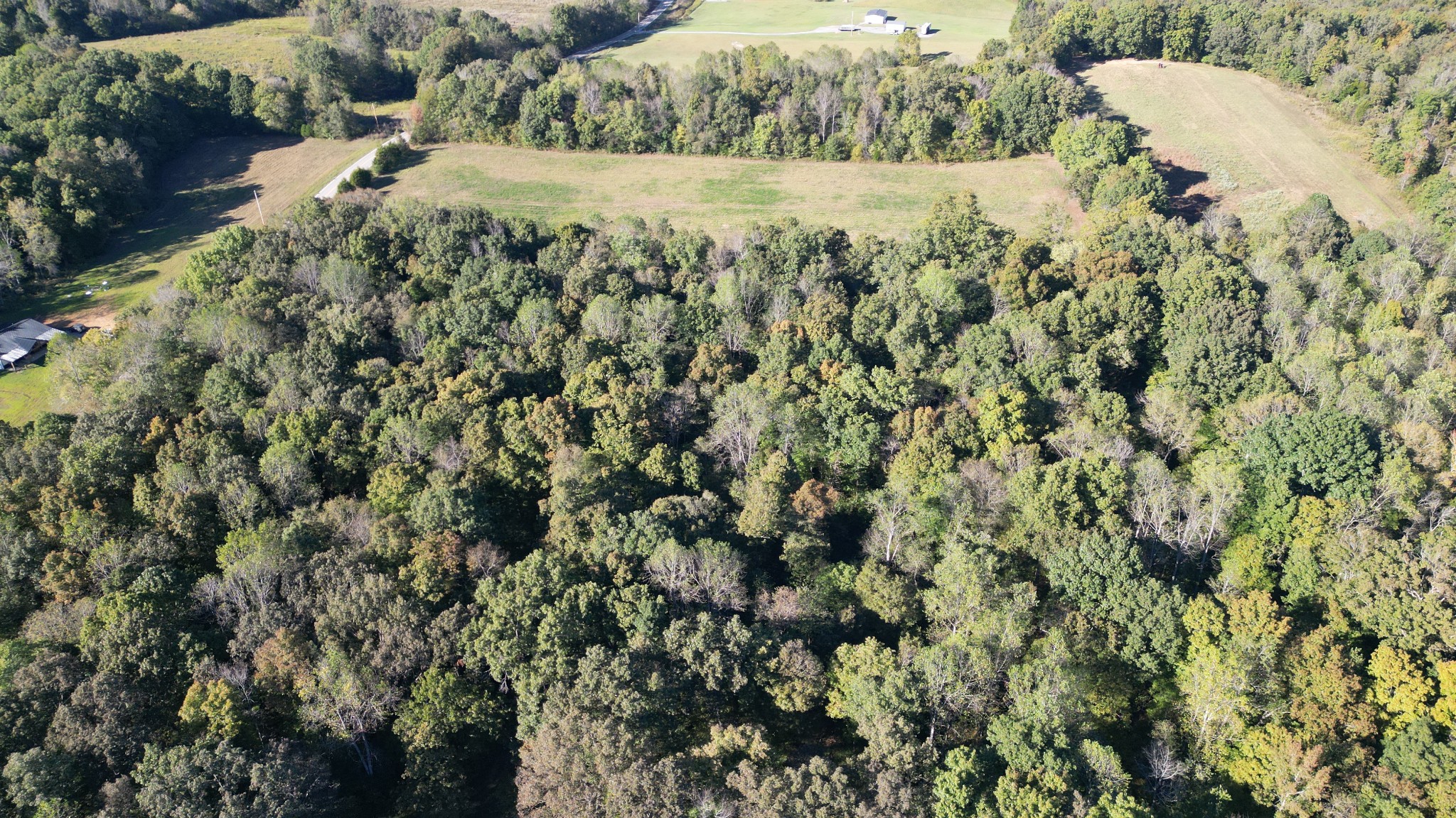 10 Hayes Ridge Road Indian Mound, TN 37079 - Photo 7 of 14