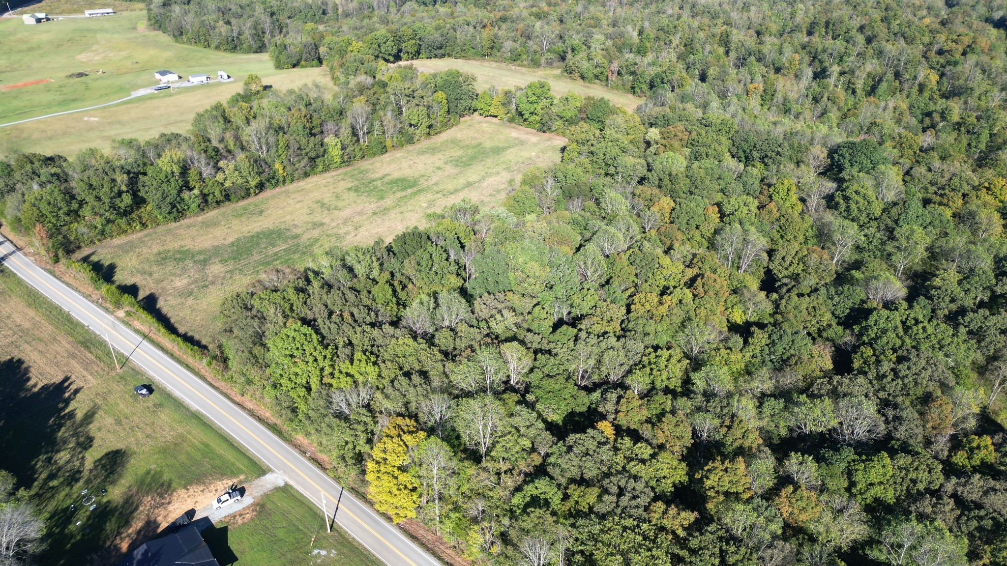 10 Hayes Ridge Road Indian Mound, TN 37079 - Photo 8 of 14 a view of a yard with a plant