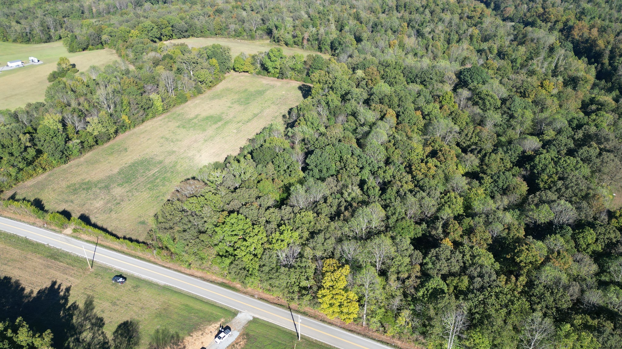 10 Hayes Ridge Road Indian Mound, TN 37079 - Photo 9 of 14 a view of a green yard with two plants