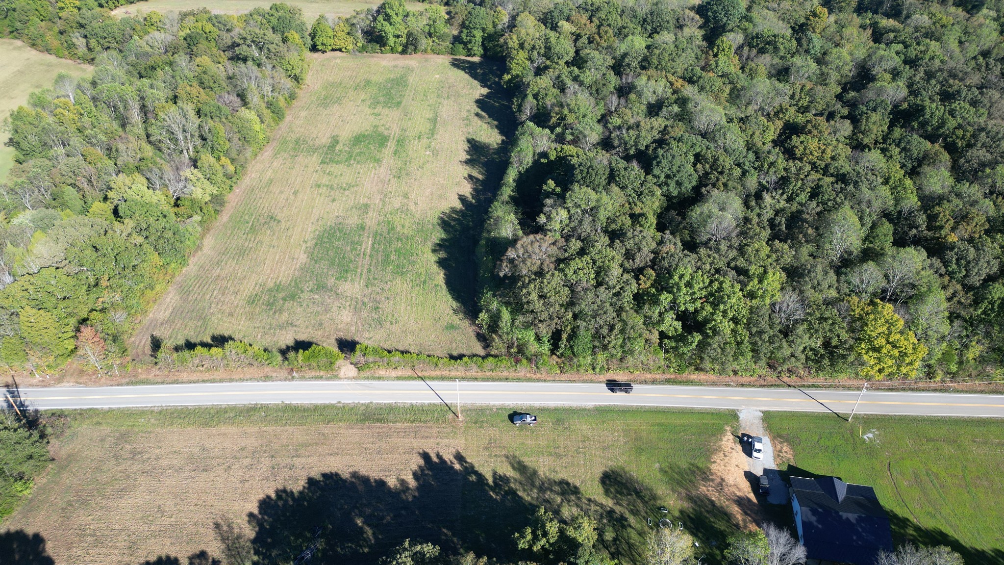 10 Hayes Ridge Road Indian Mound, TN 37079 - Photo 10 of 14 a view of a back yard of a house with a yard