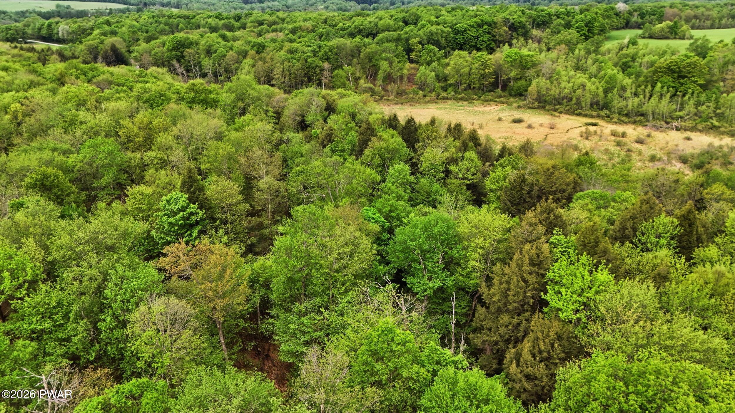 1655 Cottrell Road Thompson, PA 18465 - Photo 43 of 45