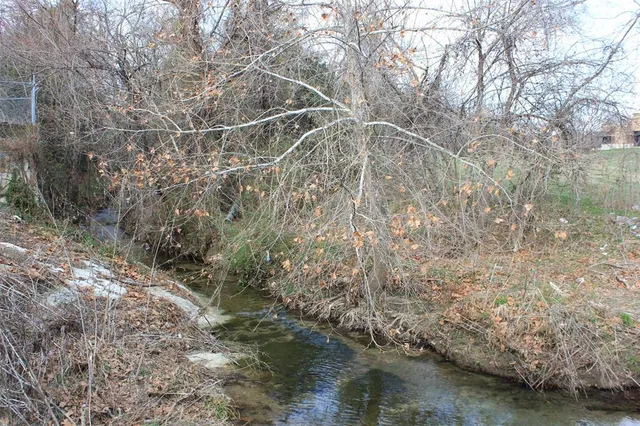 a view of a yard with a tree