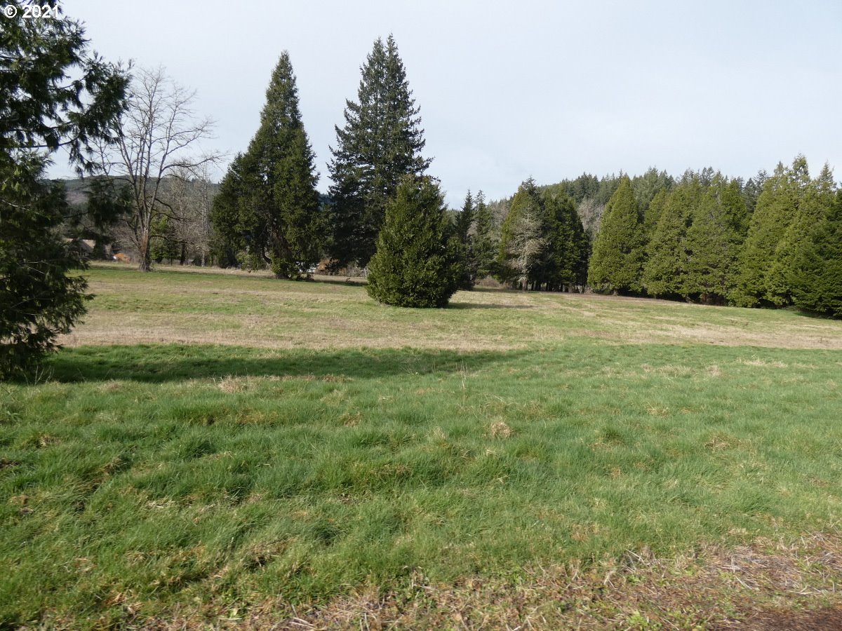 9 Omlid Drive Springfield, OR 97478 - Photo 5 of 15