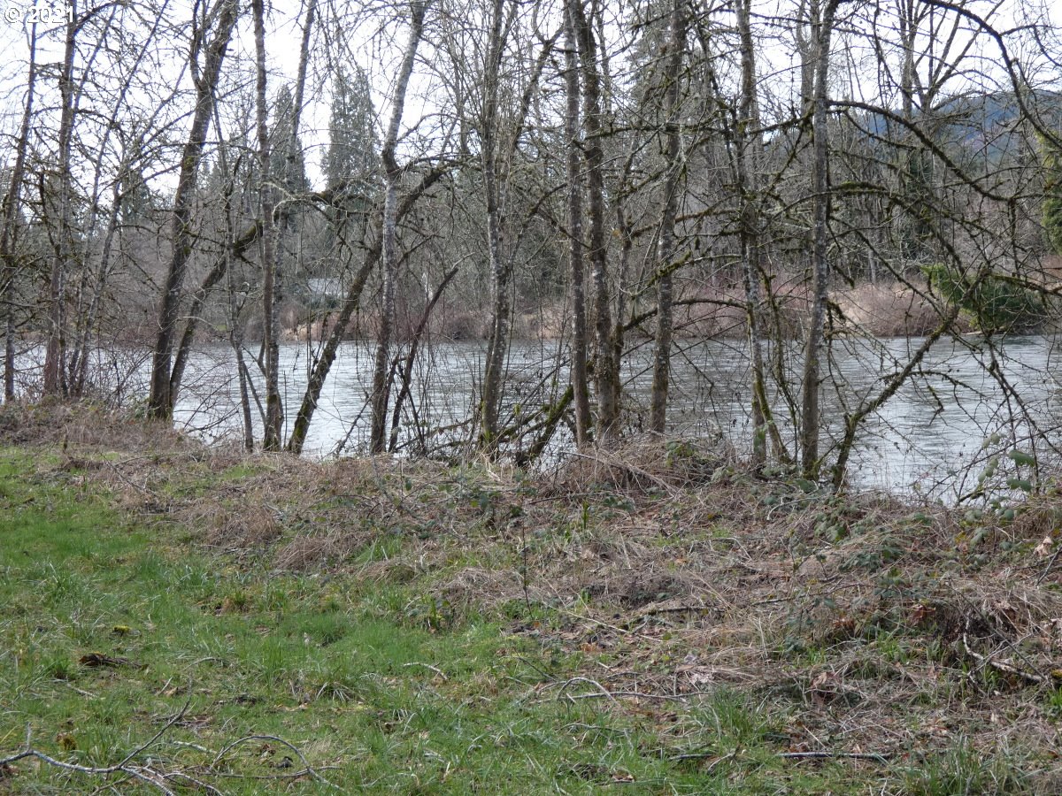 9 Omlid Drive Springfield, OR 97478 - Photo 6 of 15