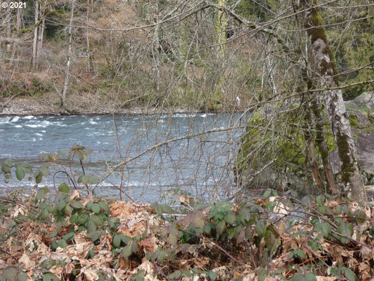 9 Omlid Drive Springfield, OR 97478 - Photo 7 of 15