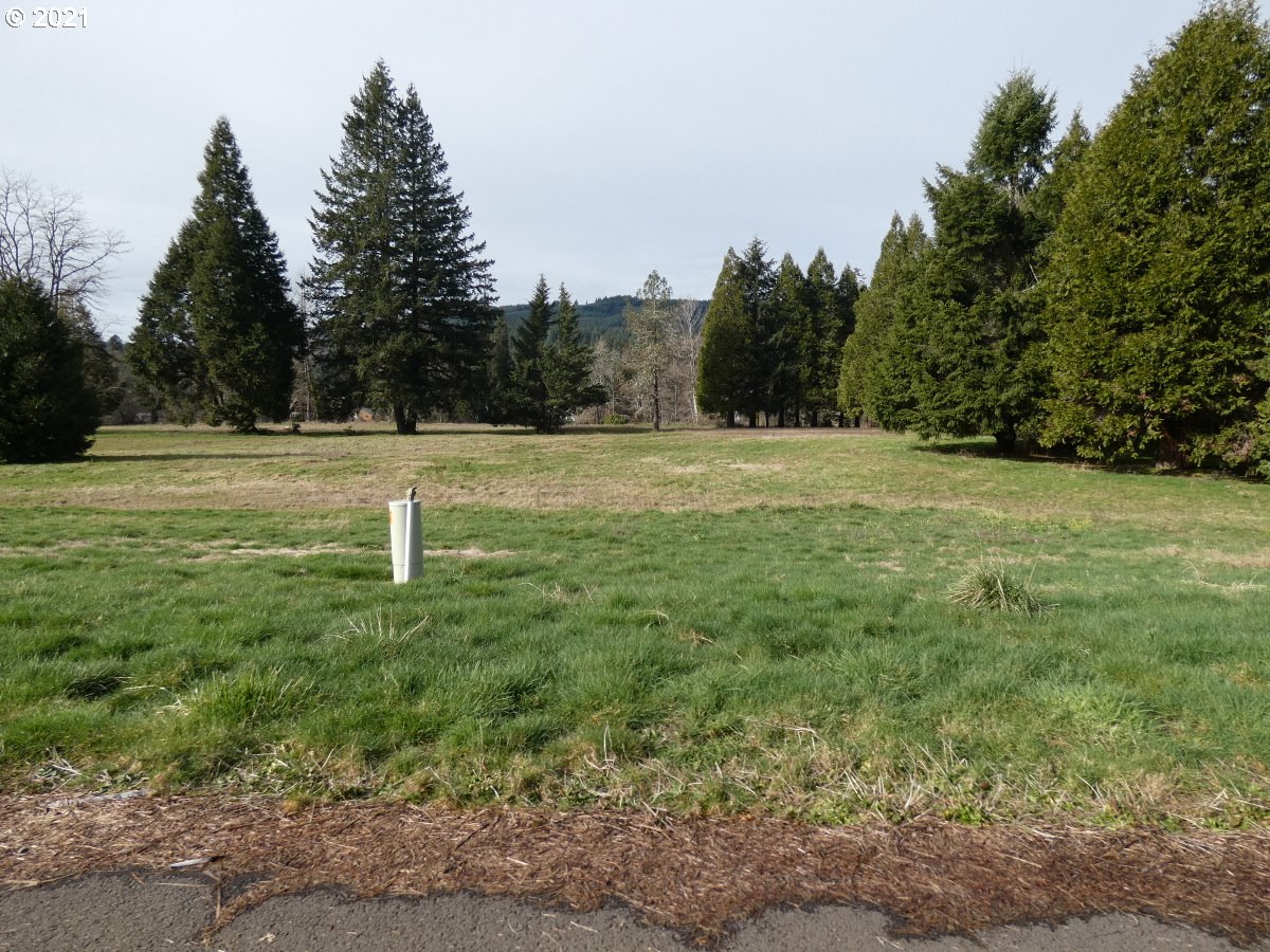 9 Omlid Drive Springfield, OR 97478 - Photo 8 of 15