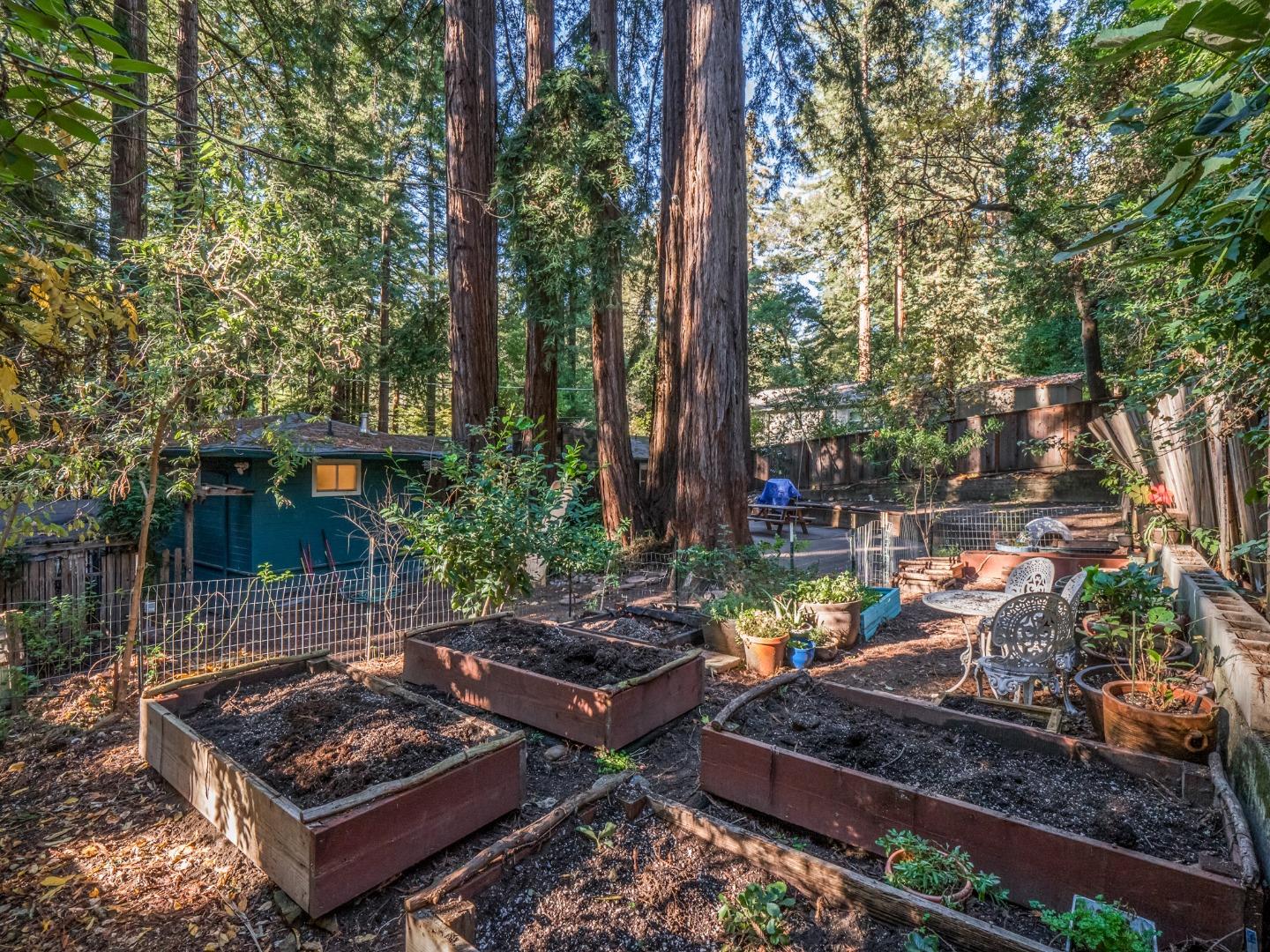 10970 Riverside Road Brookdale, CA 95005 - Photo 8 of 27 a view of a backyard with plants and a patio