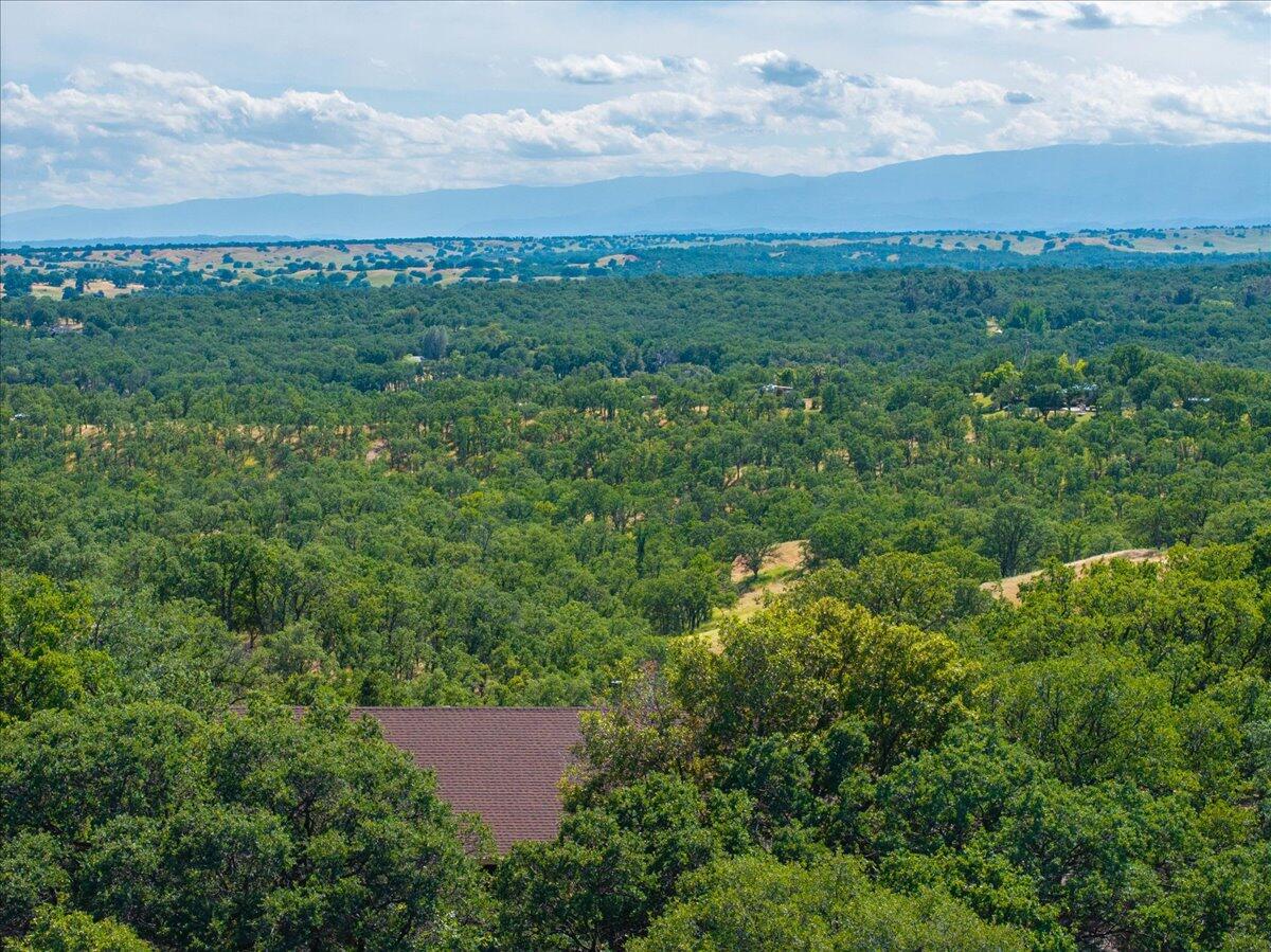 19035 Bonita Road Red Bluff, CA 96080 - Photo 52 of 55 a view of a field with a building in the background