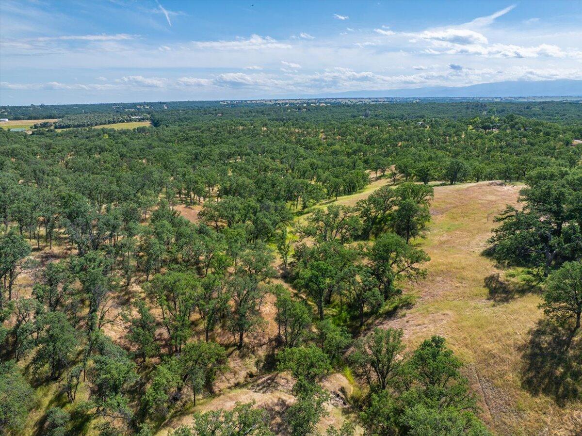 19035 Bonita Road Red Bluff, CA 96080 - Photo 53 of 55 a view of a lake with a city
