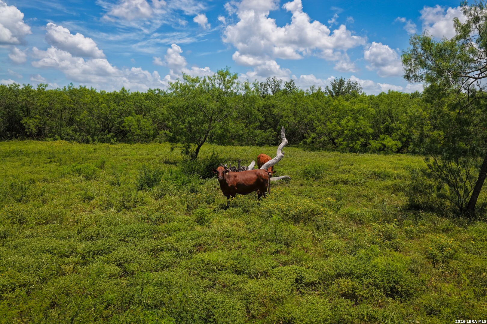 2249 Long Road Lockhart, TX 78644 - Photo 28 of 32