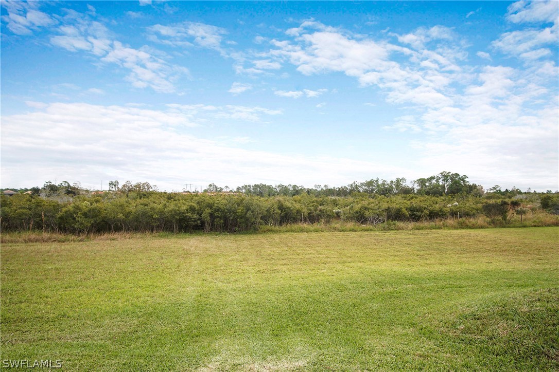 12942 Timber Ridge Drive Fort Myers, FL 33913 - Photo 31 of 35 Gallery Image 31