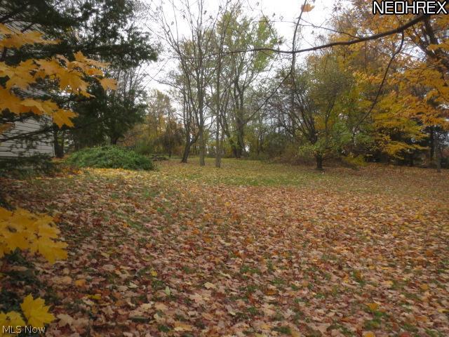 13631 Spring Street Burton, OH 44021 - Photo 9 of 12 Gallery Image 9