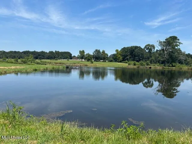 $445,000 | 1570 Dupont Harts Chapel Road, Poplarville, MS 39470