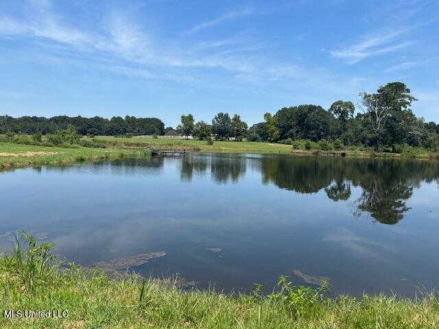 1570 Dupont Harts Chapel Road Poplarville, MS 39470 - Photo 2 of 36 IMG_4819