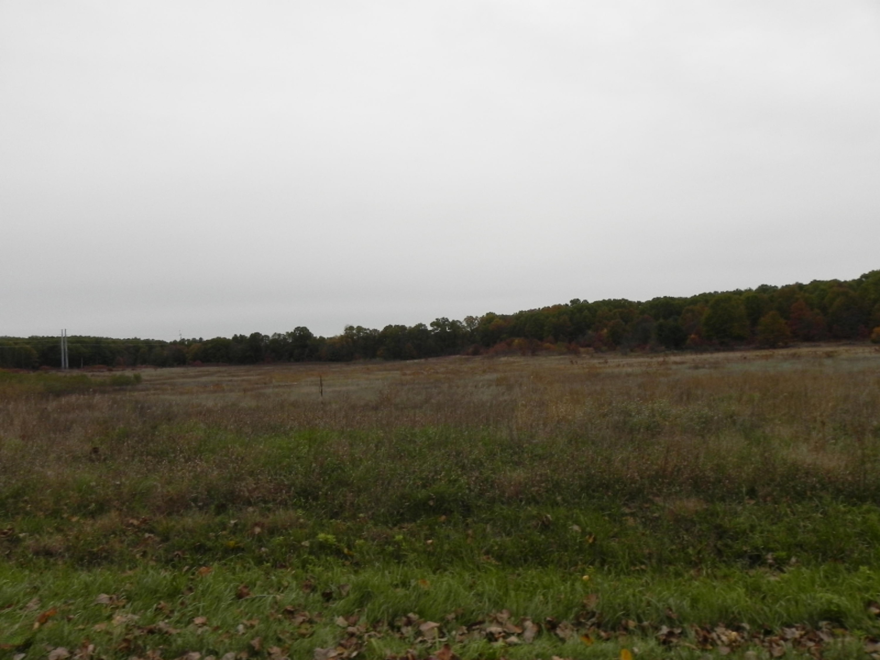 41820 Cr 352 Decatur Mi 49045 Decatur, MI 49045 - Photo 12 of 21 DSCN7230