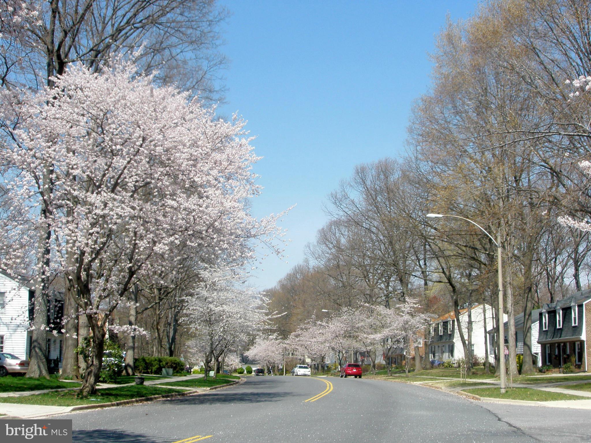1730 Stratton Road Crofton, MD 21114 - Photo 28 of 30 Community: Cherry Blossoms in the Spring