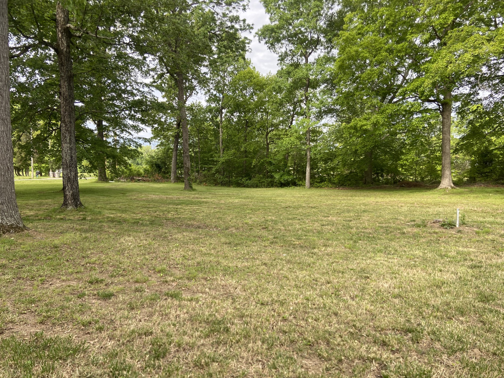 1746 Mosley Ferry Road Chapmansboro, TN 37035 - Photo 19 of 26 Gallery Image 19