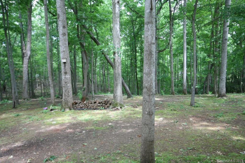 424 Long Shoals Road Lincolnton, NC 28092 - Photo 4 of 10 Gallery Image 4