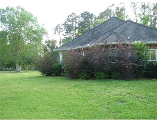31925 Carter Cemetery Road Springfield, LA 70462 - Photo 3 of 22