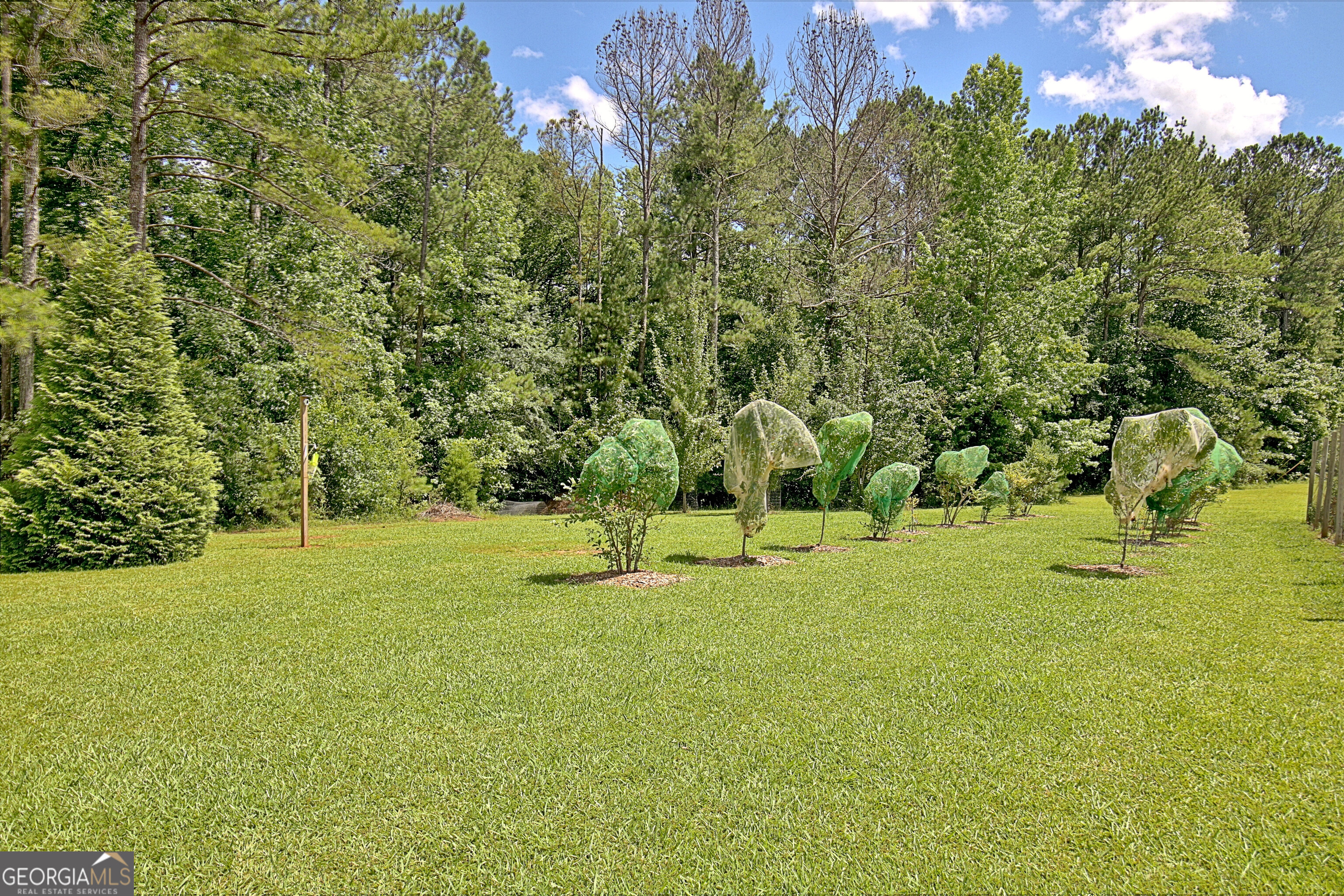 460 Morgan Mill Road Brooks, GA 30205 - Photo 19 of 55