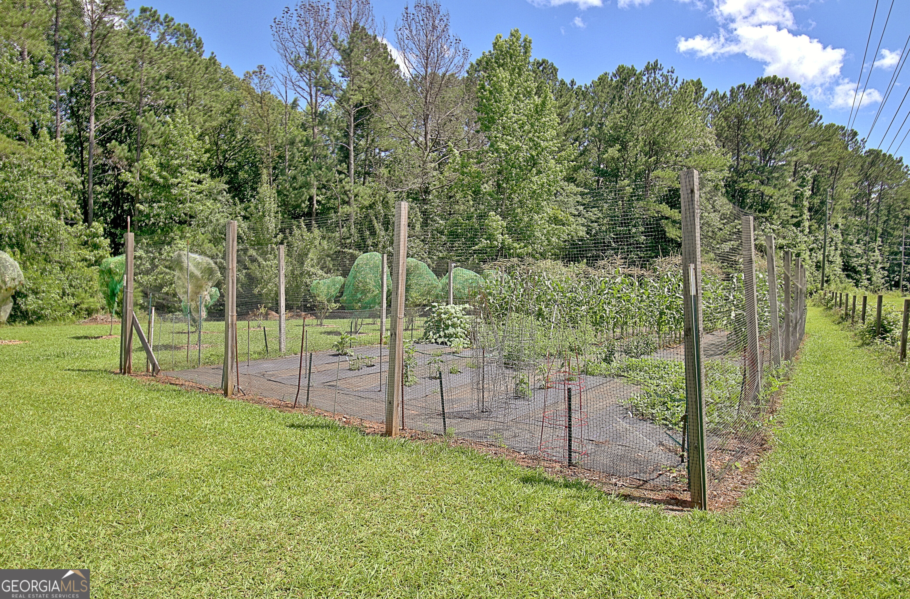 460 Morgan Mill Road Brooks, GA 30205 - Photo 20 of 55