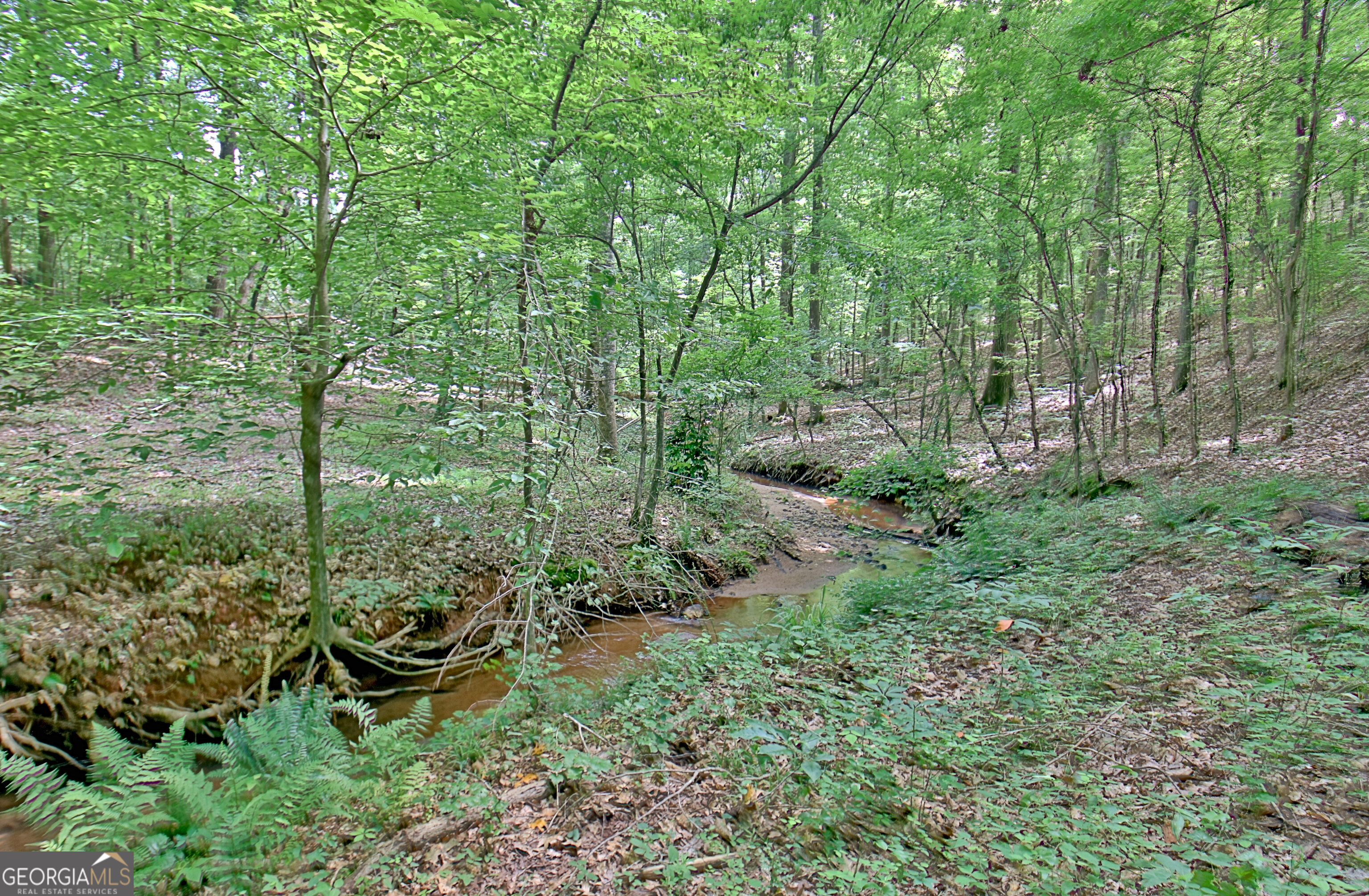 460 Morgan Mill Road Brooks, GA 30205 - Photo 22 of 55