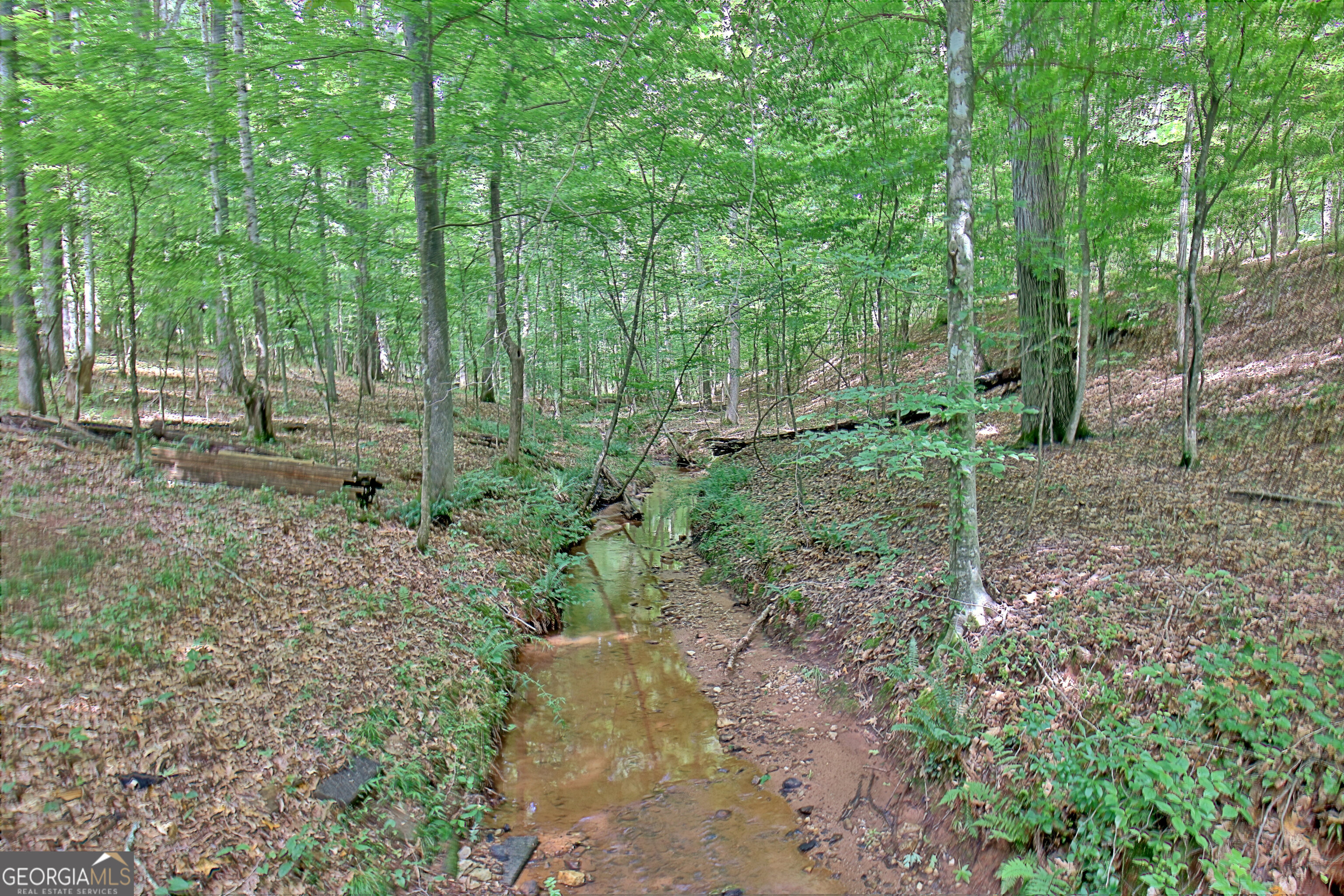 460 Morgan Mill Road Brooks, GA 30205 - Photo 23 of 55