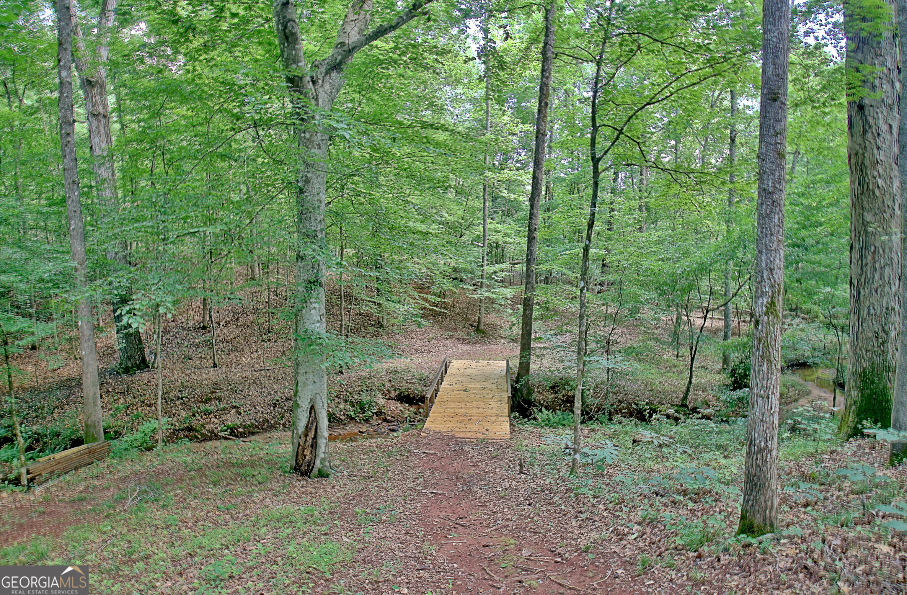 460 Morgan Mill Road Brooks, GA 30205 - Photo 4 of 55