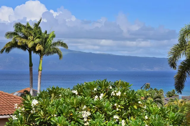 a picture of a field