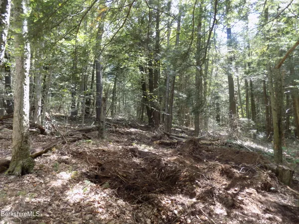 $22,000 | 0 Moberg Road, Becket, MA 01223