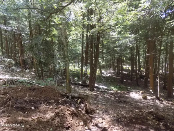 $22,000 | 0 Moberg Road, Becket, MA 01223