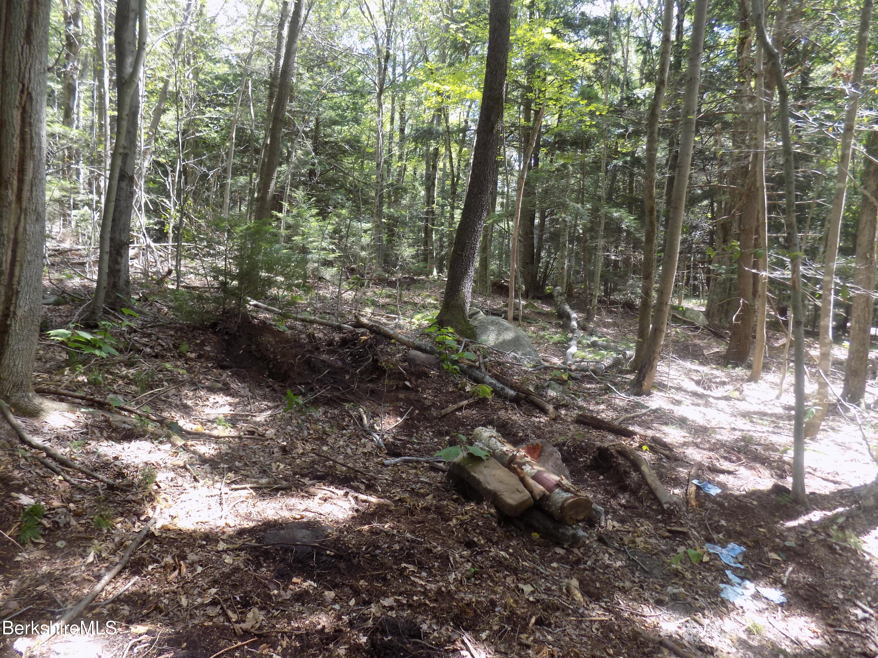 0 Moberg Road Becket, MA 01223 - Photo 8 of 9 a view of forest