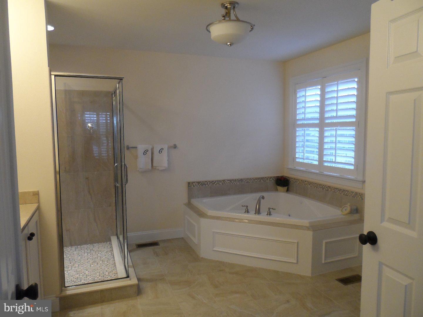 219 Kirk Road Garnet Valley, PA 19060 - Photo 5 of 6 Master Bathroom