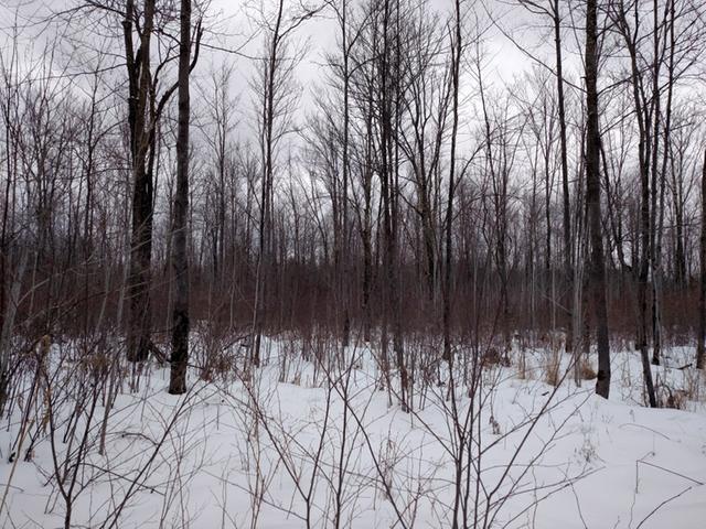 On On Cth C Prentice, WI 54556 - Photo 16 of 20 Gallery Image 16