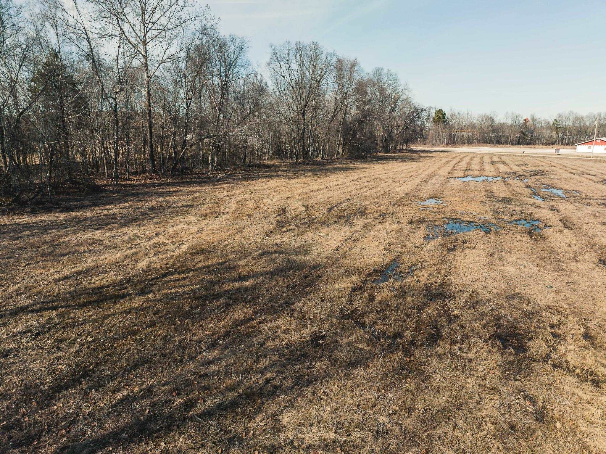 198 McIllwain Road Holladay, TN 38341 - Photo 12 of 28 a view of dirt field with trees in the background