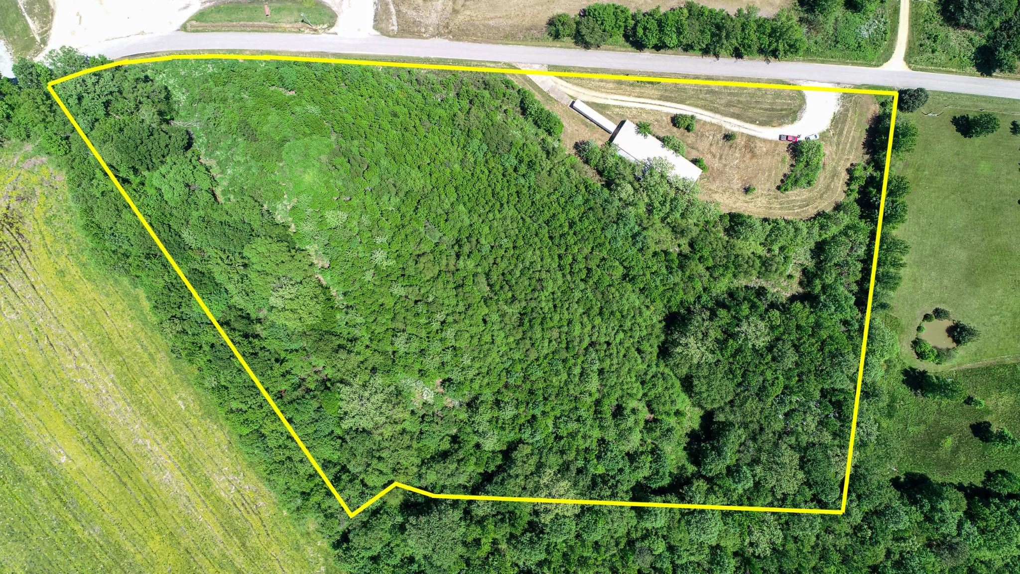 198 McIllwain Road Holladay, TN 38341 - Photo 20 of 28 a view of a yard with plants