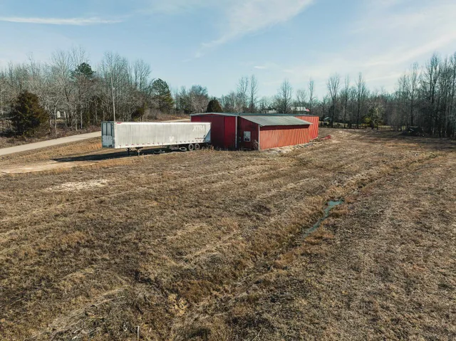 a view of a dry yard with large trees