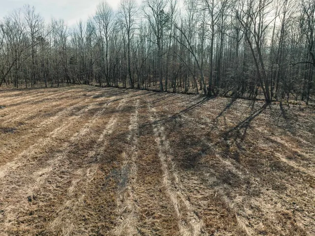 a view of outdoor space with trees