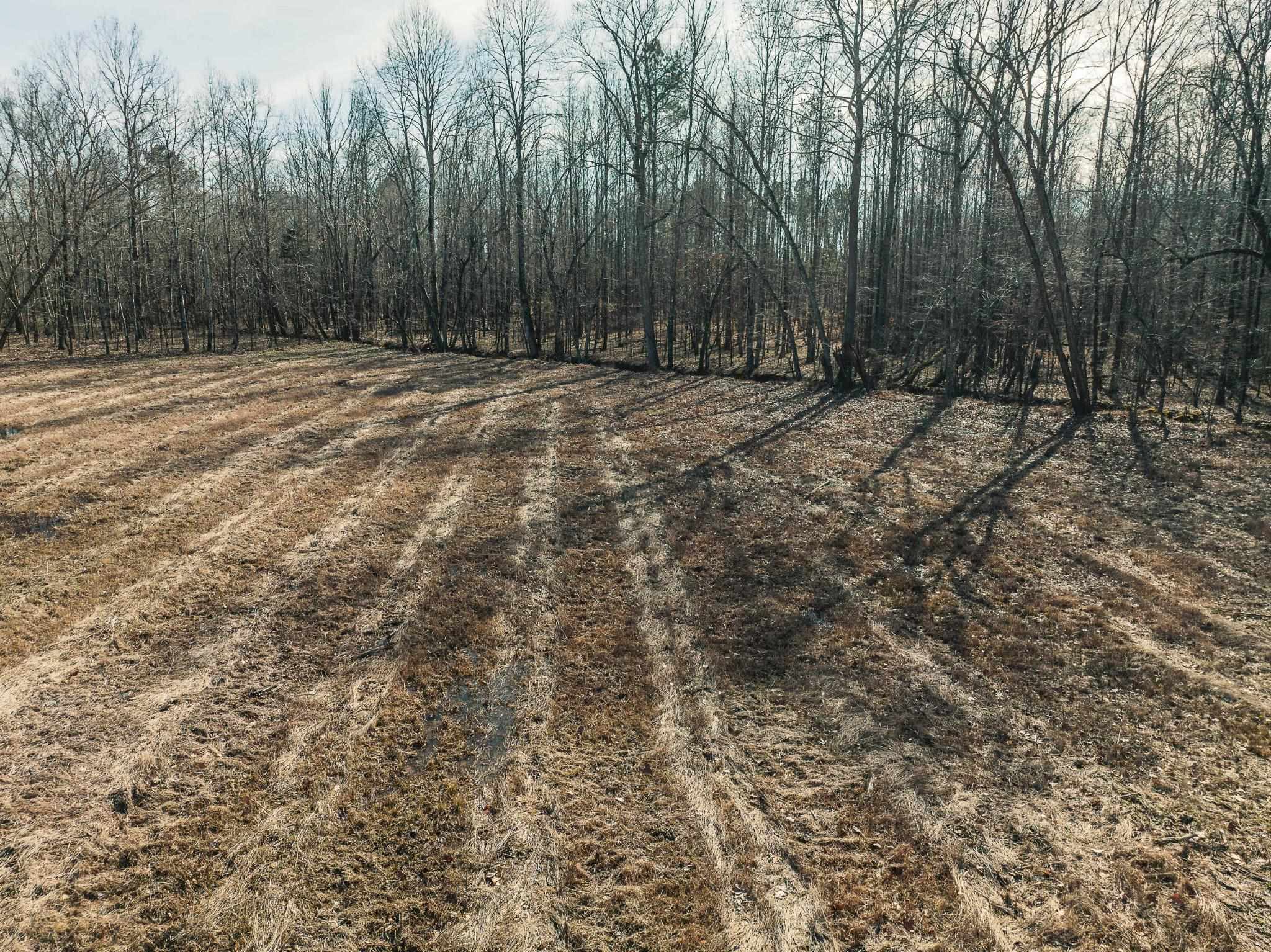 198 McIllwain Road Holladay, TN 38341 - Photo 6 of 28 a view of outdoor space with trees
