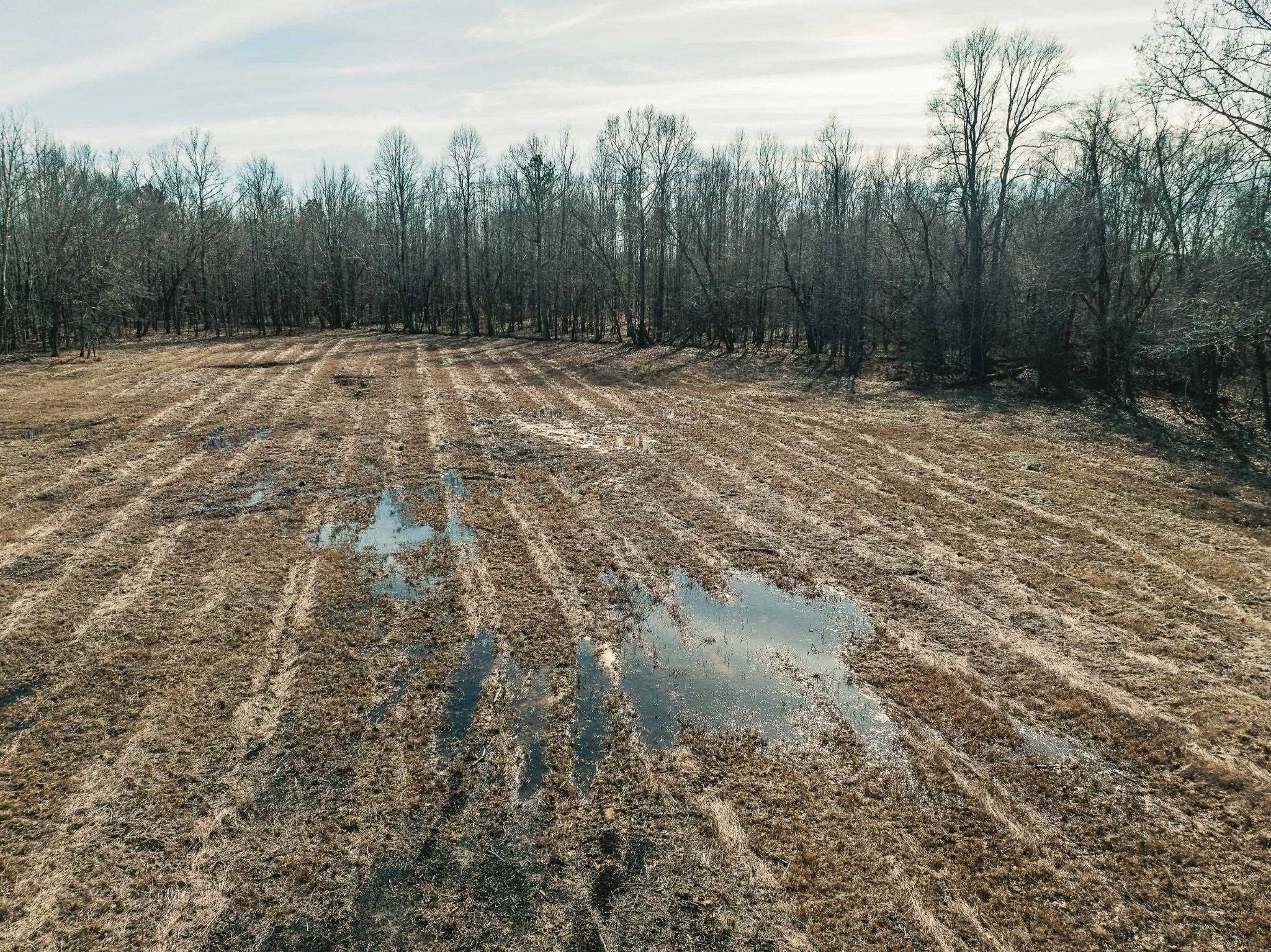 198 McIllwain Road Holladay, TN 38341 - Photo 9 of 28 a view of a backyard of the house