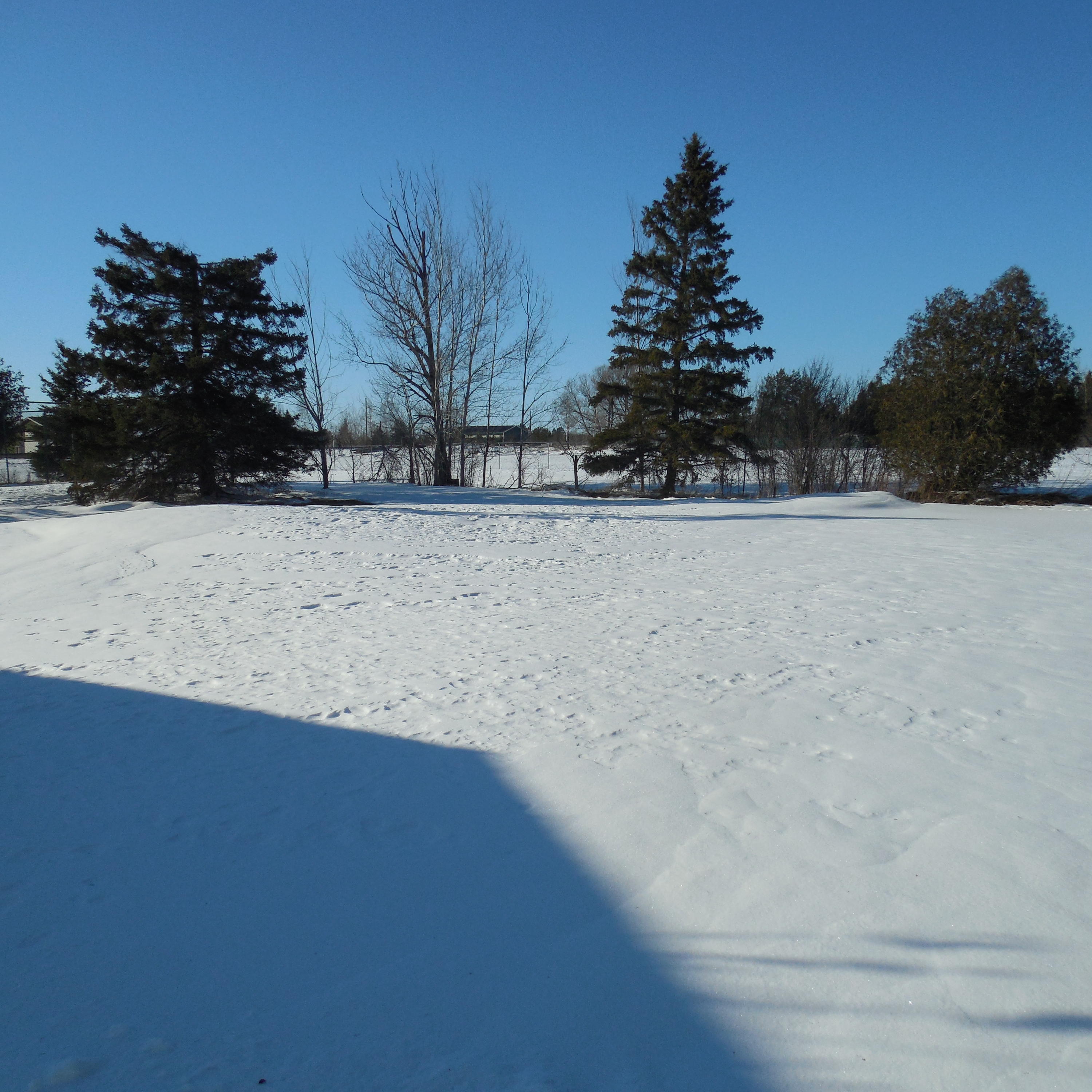 2888 West 10 Mile Road Dafter, MI 49724 - Photo 23 of 41 Gallery Image 23