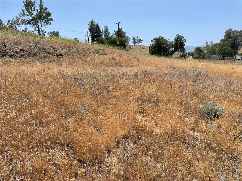 16 Riverside Drive Lake Elsinore, CA 92530 - Photo 14 of 34 a view of a dry yard with trees in the background