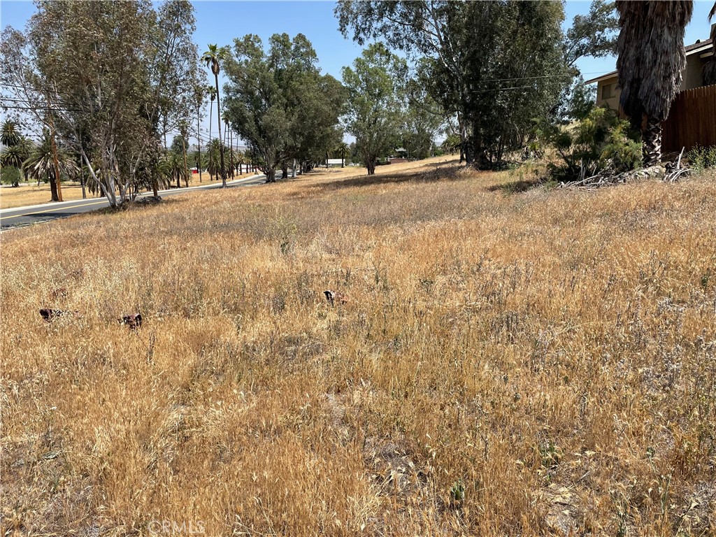 16 Riverside Drive Lake Elsinore, CA 92530 - Photo 27 of 34 a view of empty space with trees