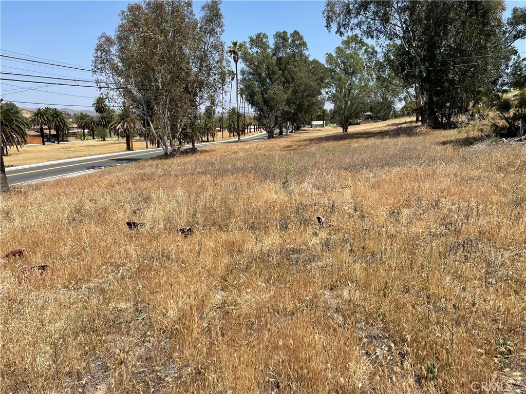 16 Riverside Drive Lake Elsinore, CA 92530 - Photo 28 of 34 a view of road and trees
