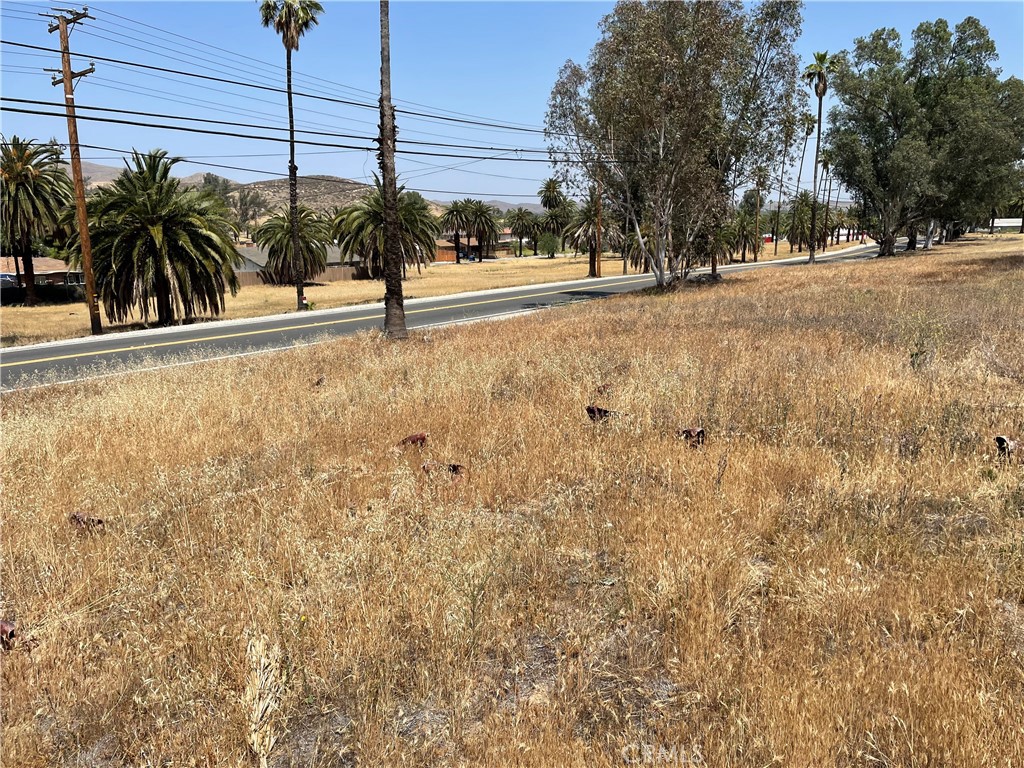 16 Riverside Drive Lake Elsinore, CA 92530 - Photo 30 of 34 a view of a yard with a trees
