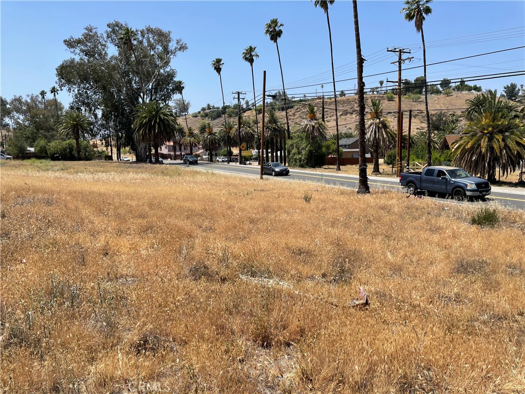 16 Riverside Drive Lake Elsinore, CA 92530 - Photo 7 of 34 a view of yard with palm trees