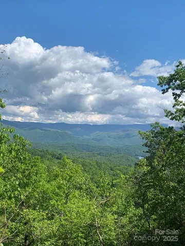 a view of a bunch of trees